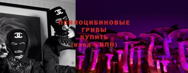 спайс Гусь-Хрустальный
