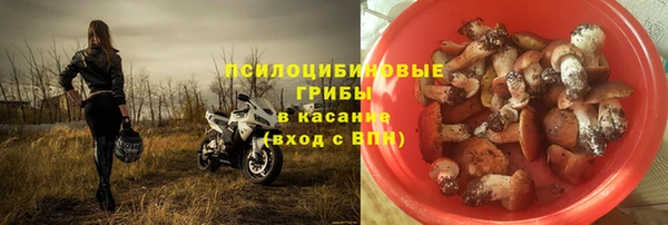 спайс Гусь-Хрустальный